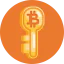 Secure payment ícone 64x64