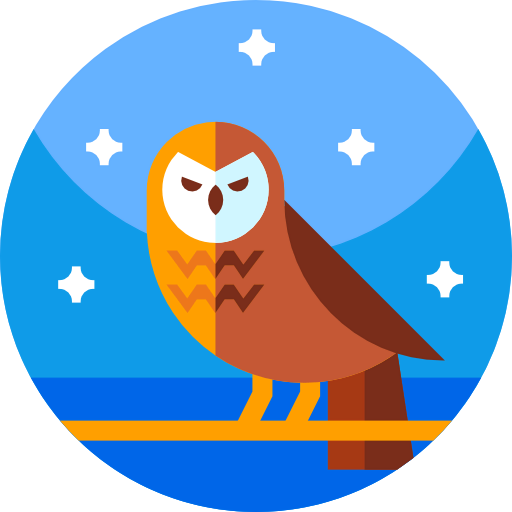 Owl icon