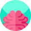 Brain biểu tượng 64x64