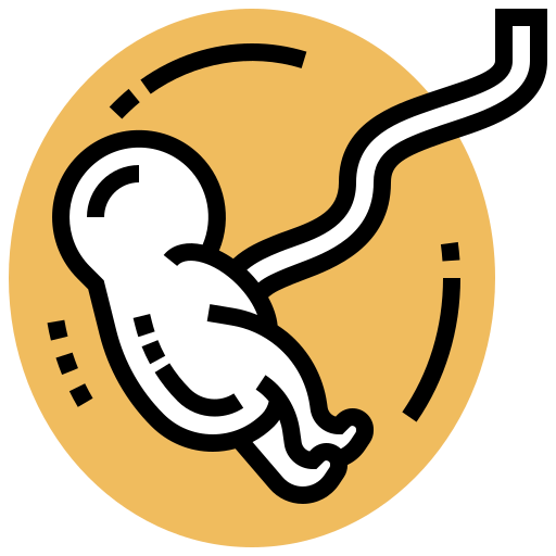 Fetus icon