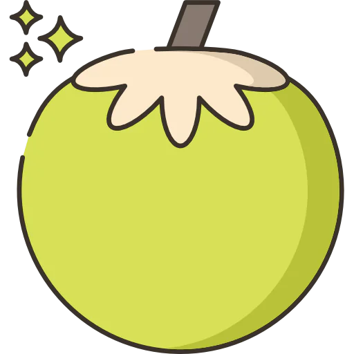 Coconut icon