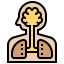 Human organs biểu tượng 64x64