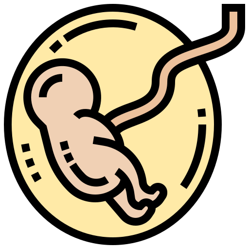 Fetus icon