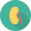 Kidneys Symbol 64x64