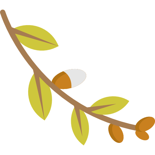 Willow icon