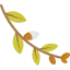 Willow icon 64x64