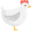 Hen icône 64x64