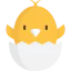 Chicken biểu tượng 64x64