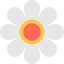 Flower Symbol 64x64