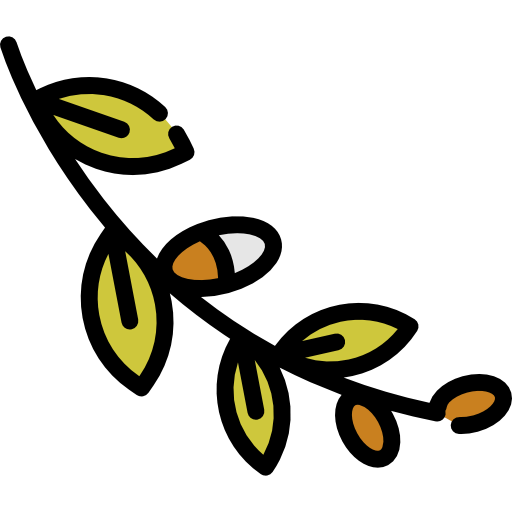 Willow icon