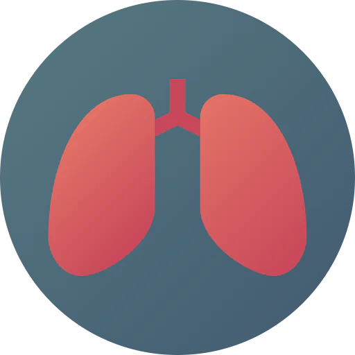 Lungs icon