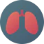 Lungs ícono 64x64