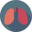 Lungs ícono 64x64