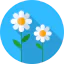 Daisy Symbol 64x64