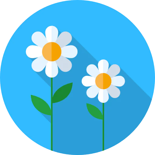 Daisy icon