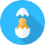 Chicken biểu tượng 64x64