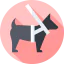Guide dog icon 64x64