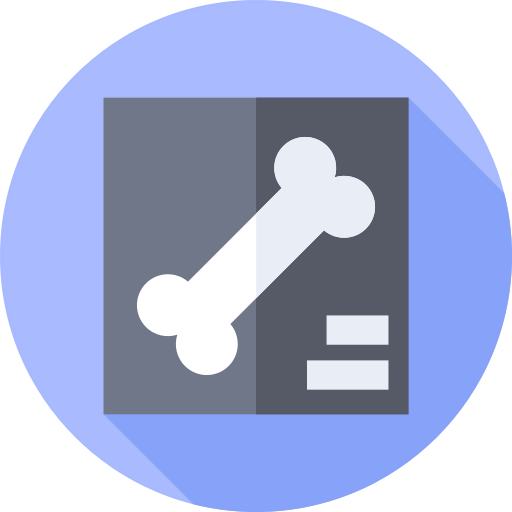 X ray icon