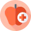 Nutritionist іконка 64x64