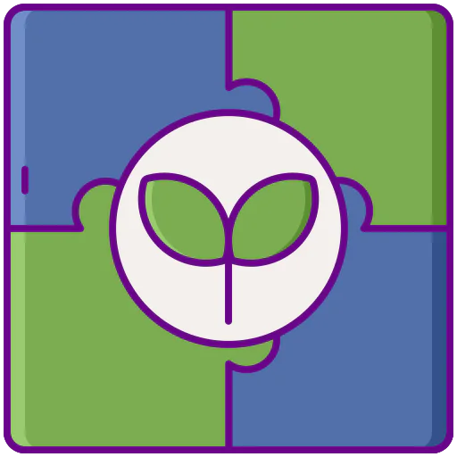 Solution icon