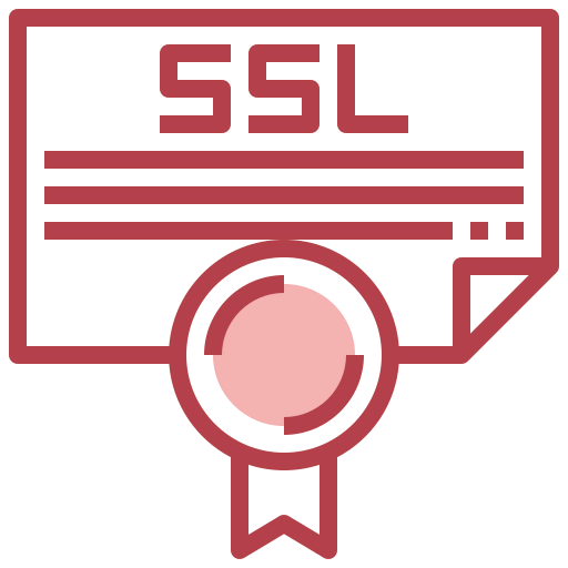 Ssl icon
