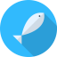 Fishes icon 64x64