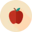 Healthy food icon 64x64