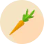 Healthy food icon 64x64