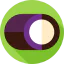 Liquorice icon 64x64