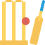 Cricket icon 64x64