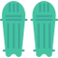 Cricket icon 64x64