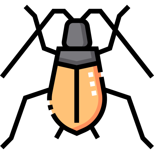 Beetle icon