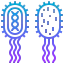Bacterias icon 64x64
