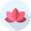Lotus icon 64x64