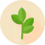 Branch Ikona 64x64