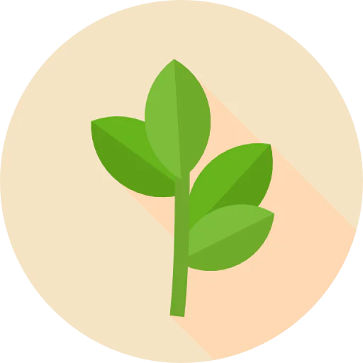 Branch icon