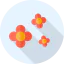 Flowers icon 64x64