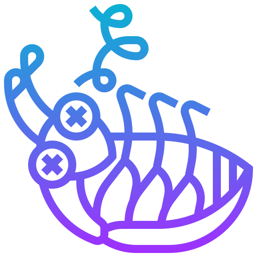 Cockroach icon