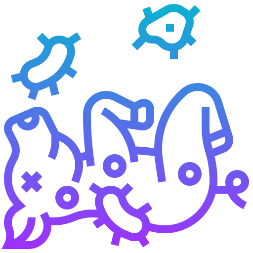 Pig icon