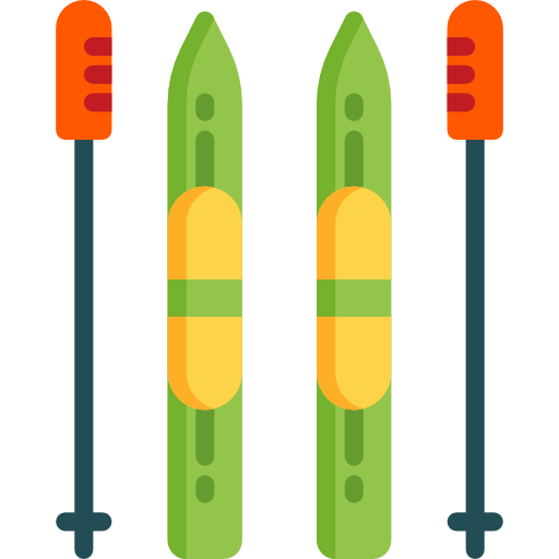 Ski icon