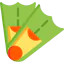 Flipper icône 64x64