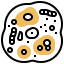 Cell icon 64x64