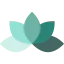 Lotus icon 64x64