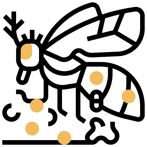 Flies icon