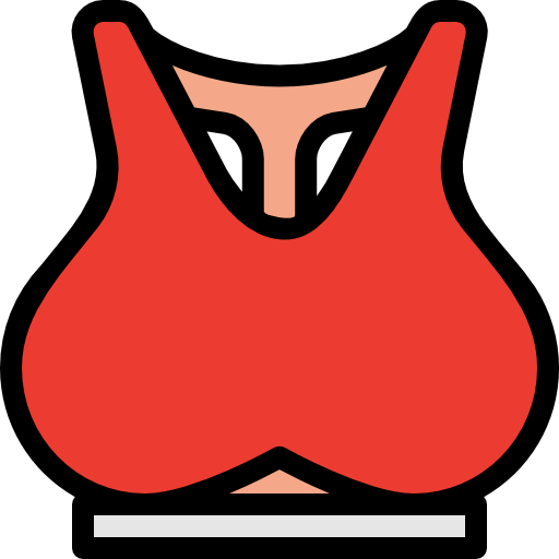 Bra icon