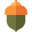 Acorn icon 64x64