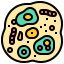 Cell icon 64x64
