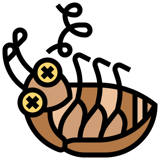 Cockroach ícono