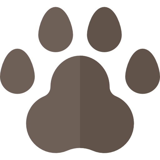 Track icon