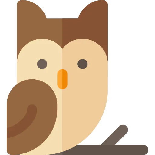 Owl icon